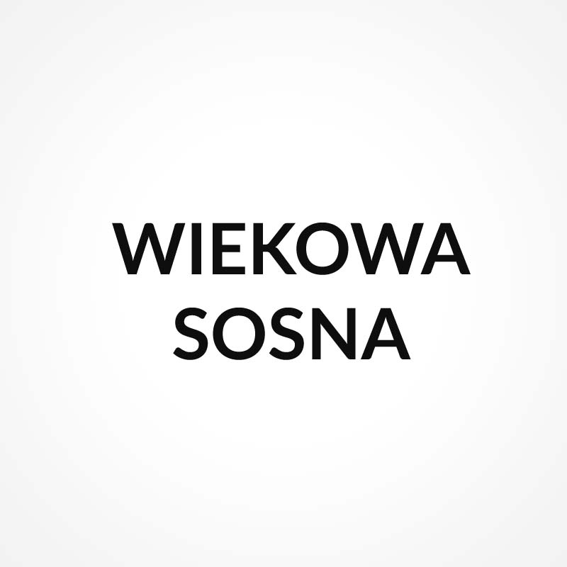 Wiekowa Sosna